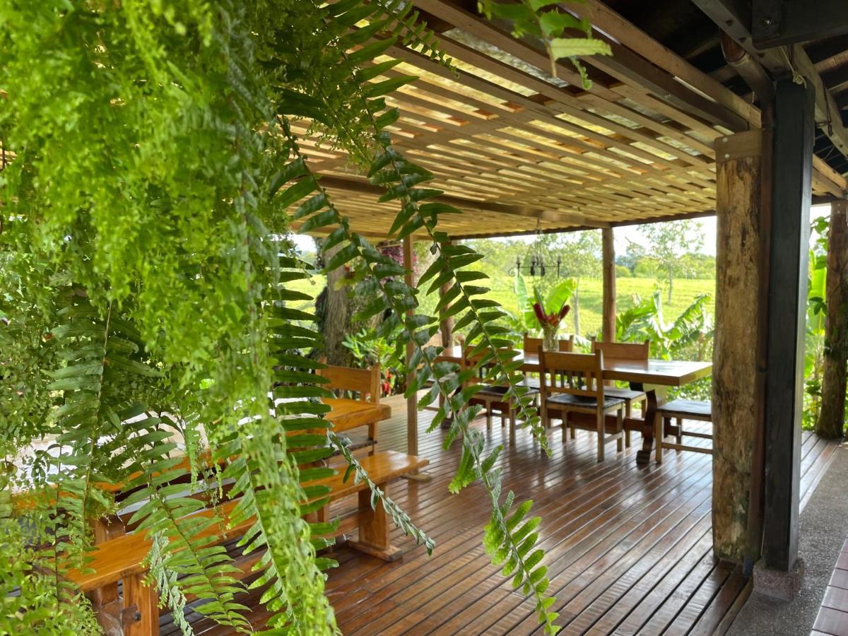 Hotel Muchosur Quimbaya Exterior foto